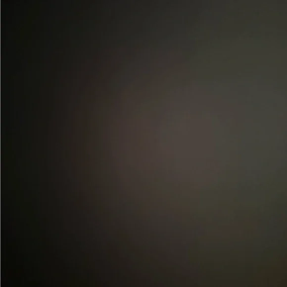 Hennessy 1765 Vintage Burgundy Leather Jacket with Belt - Picture 13 of 15